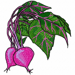 Radish Embroidery Design 2